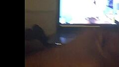 marcopolo alone stroking his big black monster cock till he nuts hard at home