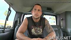 Gay sex unfolds in these clips