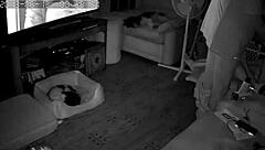 My wife gives the best blowjobs