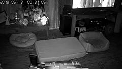 My wife gives the best blowjobs