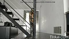 Girls Sucking Shlong with Passion in Various Positions