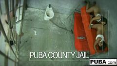 Jessica kata, Mari main dengan tetek dan pepek Lana Violet