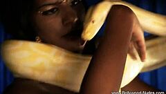 a desirable indian brunette girl in solo