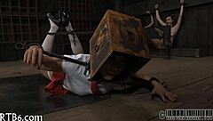 cutie, take this intense punishment now.