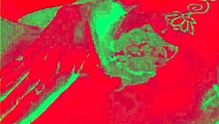 presente de natal caroleta roots fode sem moderacao