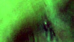 Bear bitch gets fucked hard