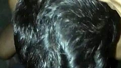 The Diary Of Blowjobs Ii: Sucking A Follower With Big Cock.