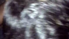 The Diary Of Blowjobs Ii: Sucking A Follower With Big Cock.