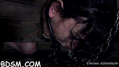 I’m aching seeing this bound beauty drip wet from torment!