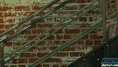 Sexy brunette models perform a full striptease for Playboy in stunning display