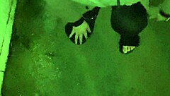 크래키와 성숙한 스타들의 TV 쇼