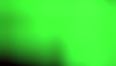 cracky and the tv show with mature stars