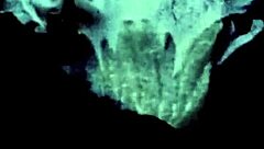 dude, craving that old-school vibe with a hairy milf photoshoot! 🥵