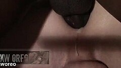 Zafiro And Aidan Preview Gay Interracial Encounter