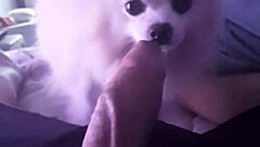 Sister's Forbidden Desires