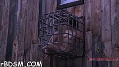 i gag and fasten the hotty while pleasuring her clit