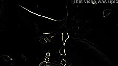 Bbw taking a big black dick!