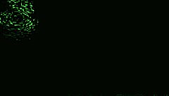 foot smelling session with intense femdom control and fetish vibes