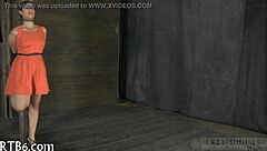 Upside Down Babe Gives Blow Job