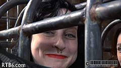 Free Sadomasochism Erotica: Detailed Scenes of Bondage and Discipline Explored.