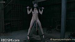 feel the intense emotions in sadomasochism hardcore porn scenes