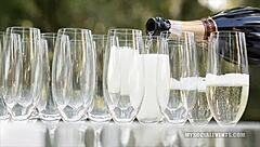 I’m still shocked how Nicki Hunter and Diana Prince got their assholes gaped by black cock