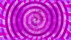 curious sissy explores femdom cock worship with instructions