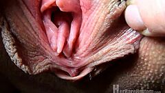 do you want to see brooks flower fondle her ass and asshole?