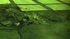 Penny Flame's Rough Sex