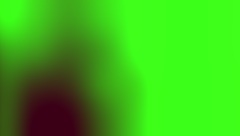 このブラジリアン・アスホール見てよ、超熱い 🔥