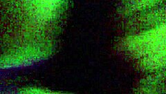 Hey, ever seen Sashaa Legend suck like that? She’s unreal!