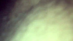 Willy And Jesse With Matthew