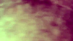 Willy And Jesse With Matthew