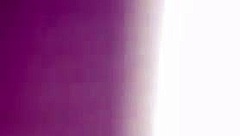 Willy And Jesse With Matthew