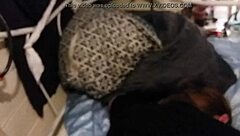 hot redhead bends over, 'fuck my shaved pussy hard' she moans