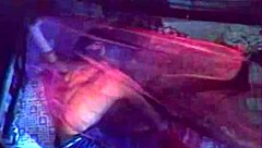 Anna Marie Gutierrez v Scorpiu Night