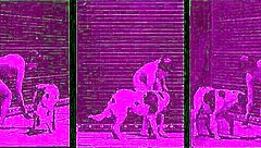 Vintage forbudt fitte i utendørs action