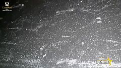 Morena gostosa no gangbang group brunette banging