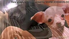 After Leaving Him A Message, The Naughty Blonde Felt Intense Joy From That Deep Anal Doggystyle Thrill.