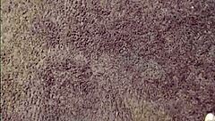 Hey, You Gotta See This Latina Blowjob in the Bathroom!