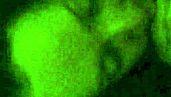 did you see anna maria giving a retro blowjob to her hubby years ago?