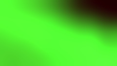 dude, caught my wife’s squirting pussy on cam 🥵