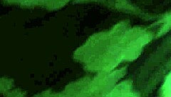 thai hooker gets bareback action with a creampie finish in raw encounter