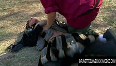 Young damsel Amia Miley rewards her hero with wild action! 🔥