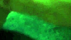 wild putarias de casal banging hard in public outdoor action!