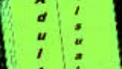 harem hotel 107 unfolds wild games in anime style