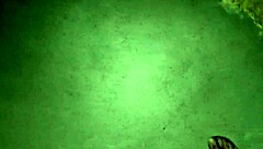 fanny shows ass without panties in public street exposure!