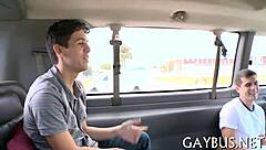 Homosexual Bear Sex In Casual Encounter