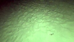 fanny shows ass without panties in public street exposure!