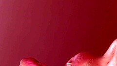 little latina slut sucks cock, cums in mouth during quick holiday fling. a steamy story to get you off fast!